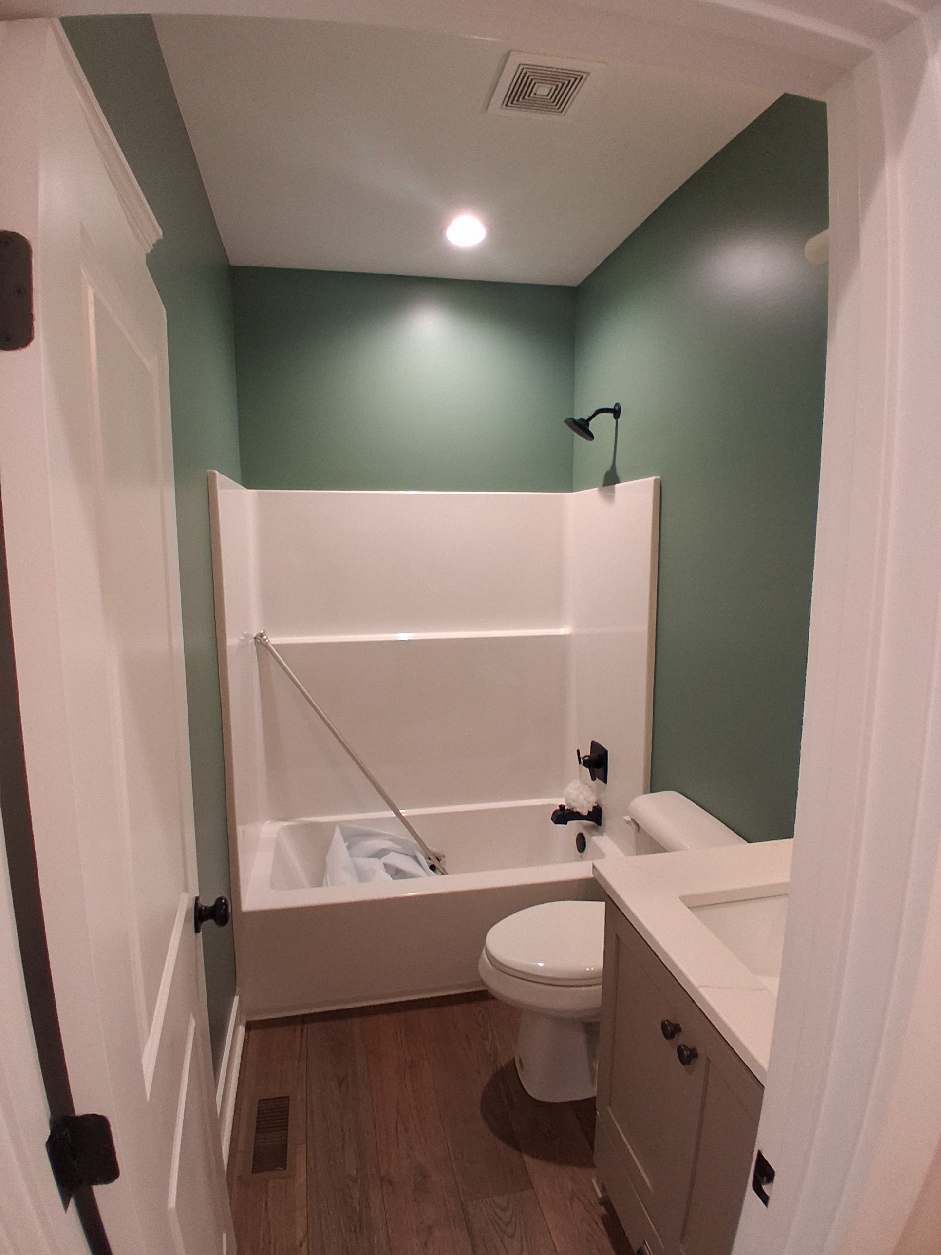 Bathroom with green painted walls